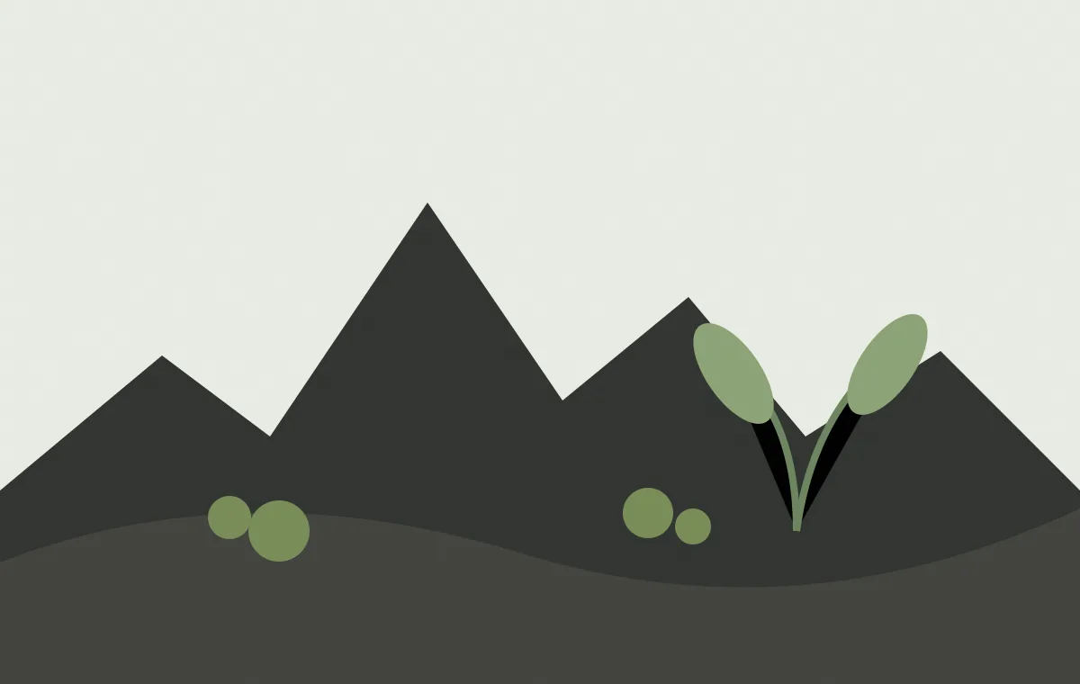 Editorial sequence from porous volcanic rock to lichen, organic matter and young plants